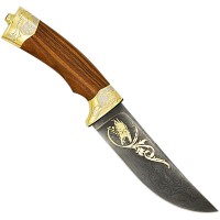 Коллекционный нож «Дракон» украшенный позолоченной гравюрой