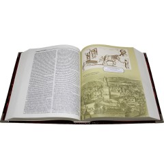 Иллюстрированная книга «История России с древнейших времен» (Соловьев С. М.) в кожаном переплёте