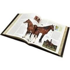 Подарочная книга «Лошади. Новая энциклопедия» в кожаном переплёте