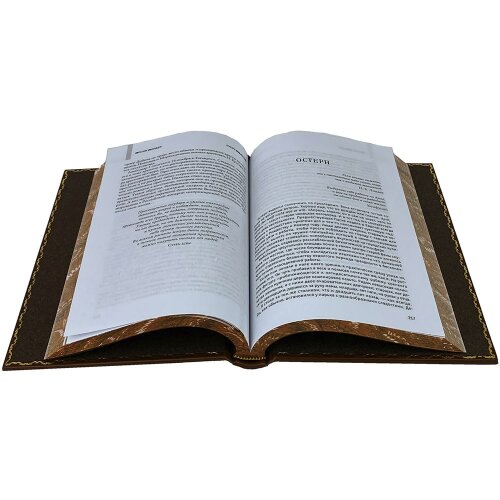 Подарочная книга «Тайные игры спецслужб» в кожаном переплёте