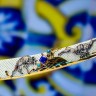 Коллекционная сабля «ИРБИС» украшенная драгоценными камнями является шедевром мастерства златоустовского оружейного искусства