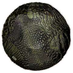 Декоративная тарелка «Зеленые джунгли» для декора интерьера