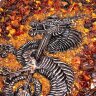 Янтарные нарды «Китайский дракон» — символ года 2024