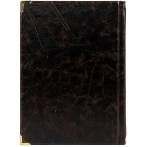 Подарочная книга «Киевские князья» в кожаном футляре