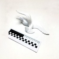 Белая фигурка для декора стен «Чайка» 3D (№4)