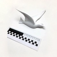 Белая фигурка для декора стен «Чайка» 3D (№5)