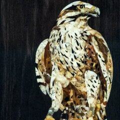 Подарочные нарды «Соколиная охота» из морёного дуба и янтарного камня