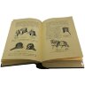 Подарочная книга «Оружие» (П. Фонъ Винклеръ)