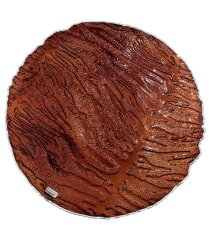 Декоративное блюдо «Бронзовый леопард» для интерьера дома