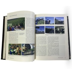 Подарочная книга «Вино. Самая полная иллюстрированная энциклопедия» (Доминэ Андрэ) в кожаном переплёте
