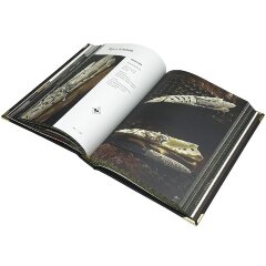 Иллюстрированная книга «Гильдия мастеров оружейников. Четверть века» в подарочном коробе