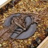 Нарды деревянные резные «Самурай и Дракон» с янтарной мозаикой ручной работы