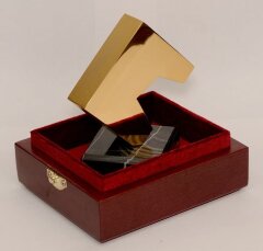 Приз кинофестиваля «Шорты»