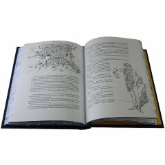 Подарочная книга «Двенадцать стульев»