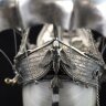 Серебряный корабль «Жемчужина» из морской раковины наутилус