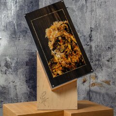 Подарочные нарды «Лев» из янтаря и морёного дуба