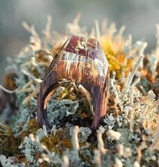 Кольцо "Подводный мир"