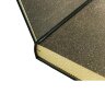 Подарочная книга «Повелители экономики и финансов» (С.Витте и П. Столыпин) в кожаном переплёте