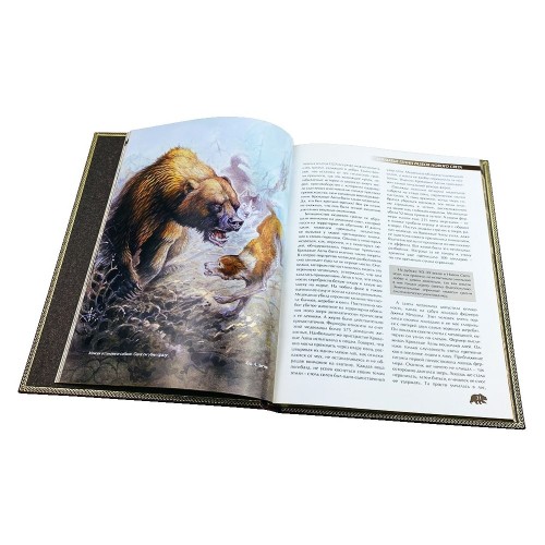 Подарочная книга «Охота на медведя» в кожаном переплёте