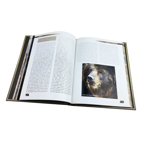 Подарочная книга «Охота на медведя» в кожаном переплёте