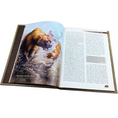 Иллюстрированная книга «Охота на медведя» в кожаном переплёте с золотым и блинтовым тиснением купить с доставкой