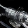 Серебряная фигурка «Тигр» на вулканическом камне обсидиан купить с доставкой по России