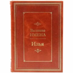 Иллюстрированная книга «Илья»