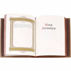 Иллюстрированная книга «Илья»