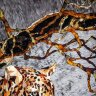Декоративное панно «Леопард» из янтаря и карельской берёзы