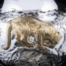 Эксклюзивная серебряная ваза «LEOPARD» в единственном экземпляре в мире