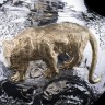 Эксклюзивная серебряная ваза «LEOPARD» в единственном экземпляре в мире
