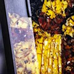 Декоративное панно «Тигр» из янтаря и ценных пород дерева