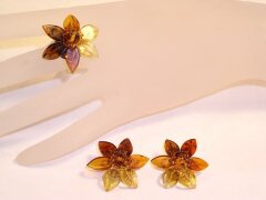 Комплект из янтаря «Весеннее чудо»
