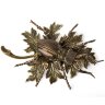 Бронзовая шкатулка «Жук»