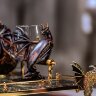 Дизайнерский набор посуды «ДРАКОН» — отличный подарок для мужчины который ценит оригинальные вещи