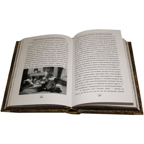 Украшенная книга «Упоительность вредных привычек»