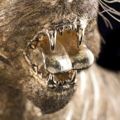 Большая серебряная скульптура «ЗОЛОТОЙ ТИГР» в единственном экземпляре в мире