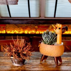 Декоративная чаша «Лама» из оранжевого художественного стекла