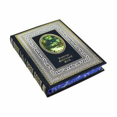 Иллюстрированная книга «Таинство новогодней ночи» в подарок к новому году