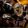 Интерьерная композиция с ножом «Лев победитель» — эксклюзивный АРТ ДЕКОР подчеркнёт характер его обладателя