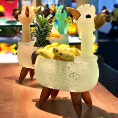 Декоративная чаша «Лама» из художественного стекла