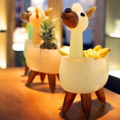 Декоративная чаша «Лама» из художественного стекла