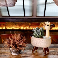 Декоративная чаша «Лама» из художественного стекла