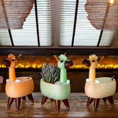 Декоративная чаша «Лама» из художественного стекла