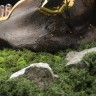 Ламповые часы из кости мамонта «Реликвия» — произведение искусства ограниченной партии