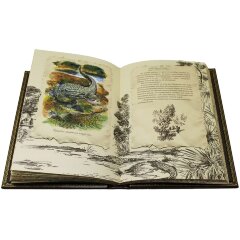 Подарочная книга «Роскошь зрелого возраста» (Дж. Рокстон)