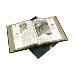 Подарочная книга «Вечера на хуторе близ Диканьки» (Н. Гоголь) в кожаном футляре