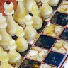 Подарочные шахматы «Флора» из карельской берёзы и янтаря
