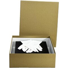 Подарочная книга «Николай Дризен Театральная старина. Страницы истории русского театра»