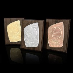 Сувенирная плакетка «Наградная» (А4) в подарок от коллектива компании